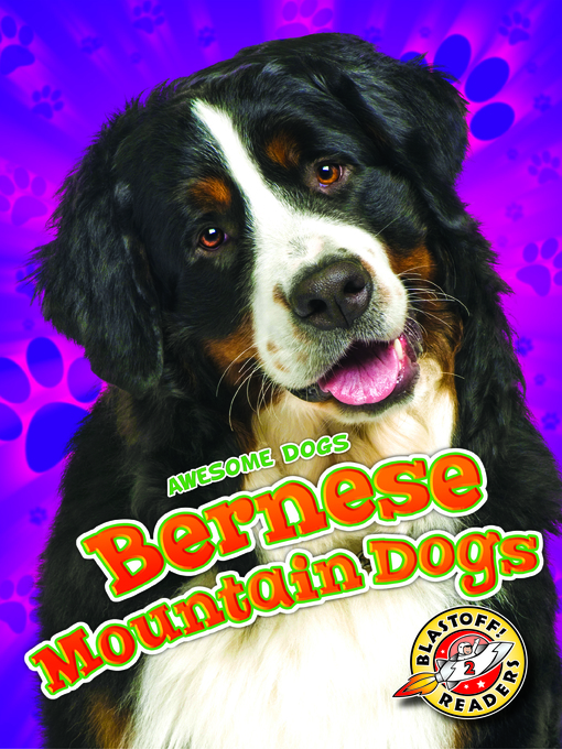 Title details for Bernese Mountain Dogs by Rebecca Sabelko - Available